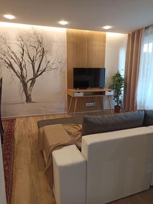 Tres Bel Appartement Rez De Jardin Appart De 53M2. Pfastatt Exterior foto