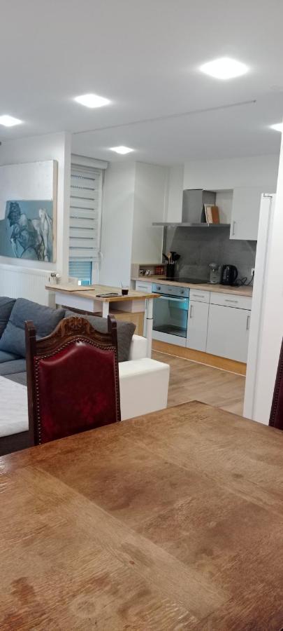 Tres Bel Appartement Rez De Jardin Appart De 53M2. Pfastatt Exterior foto